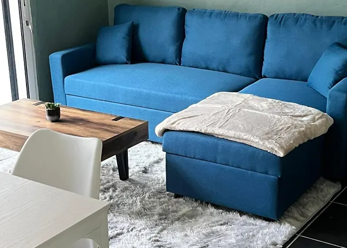 Appartamento Hyper Centre Jardin *