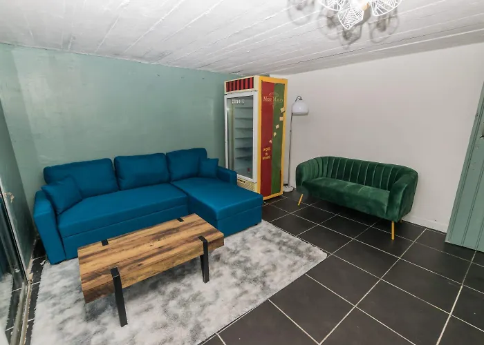 Appartamento Hyper Centre Jardin