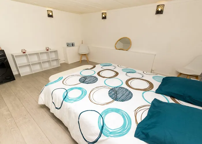 Appartamento Hyper Centre Jardin