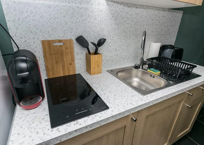 Appartamento Hyper Centre Jardin *